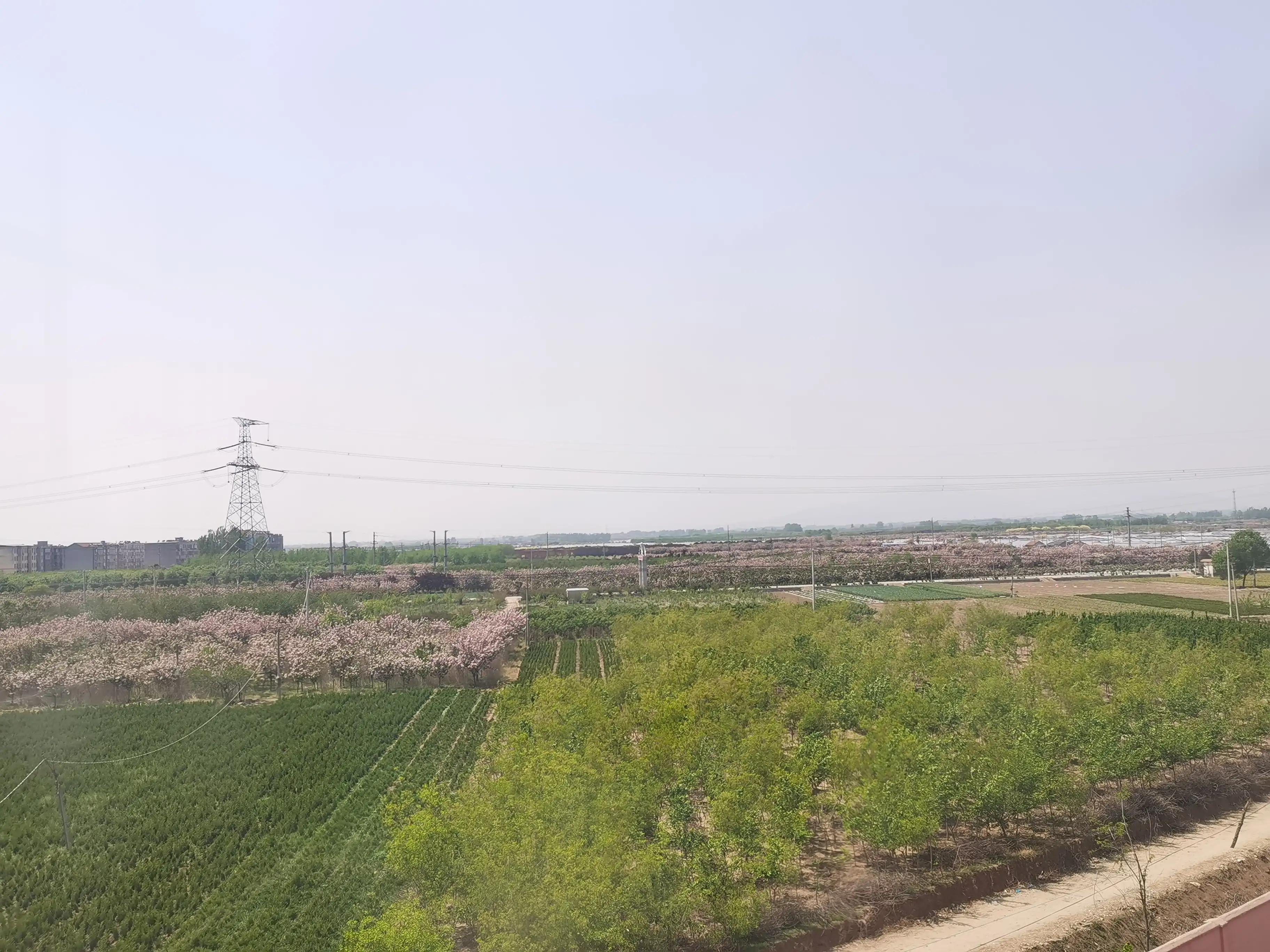 如何培养孩子认真书写的习惯,小孩为什么不认真书写