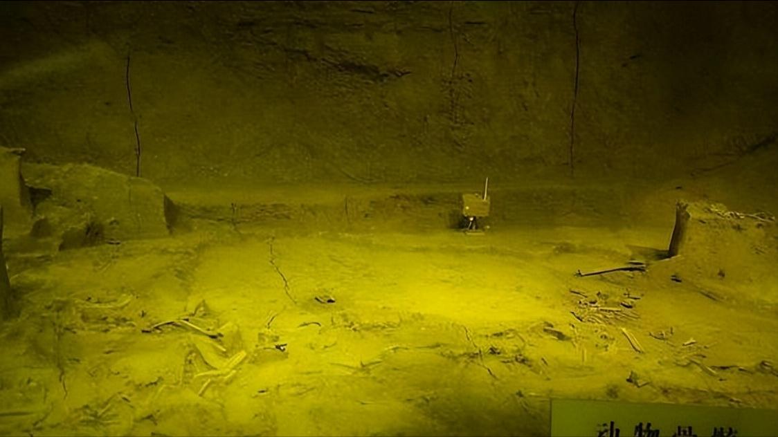 汉代人饮食特点,汉代的饮食有哪些
