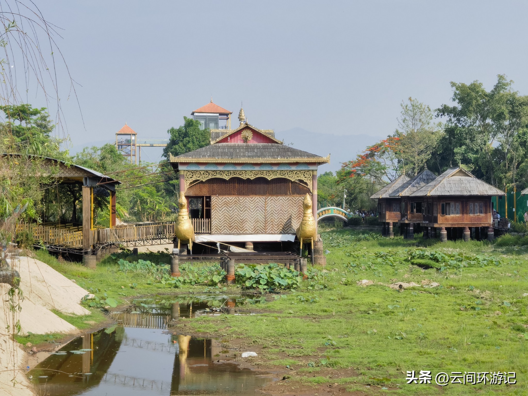 缇庝附寰峰畯娴极涔嬫梾,婕父寰峰畯