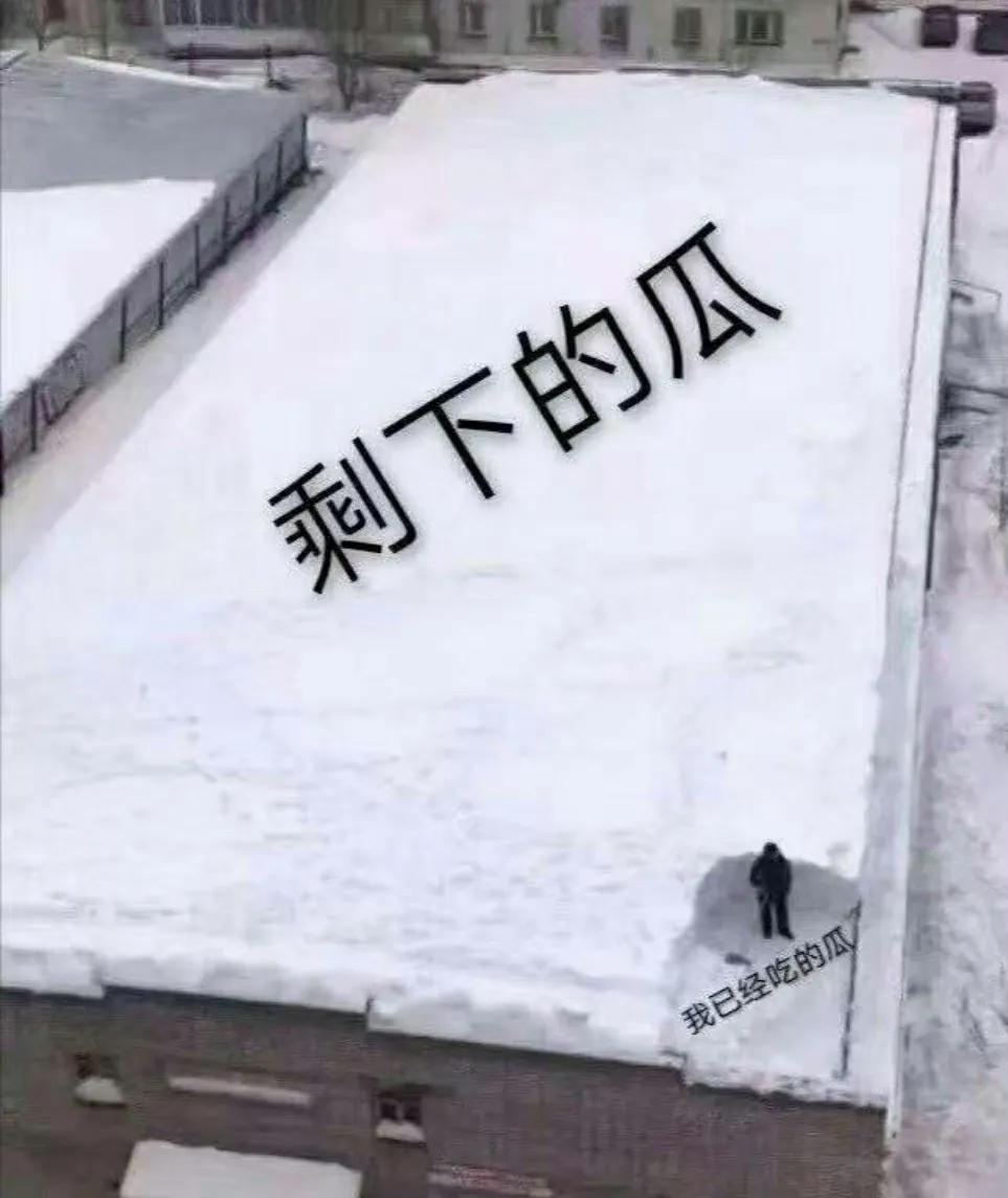 吃瓜群众表情包组成教程,一只安静的吃瓜群众表情包