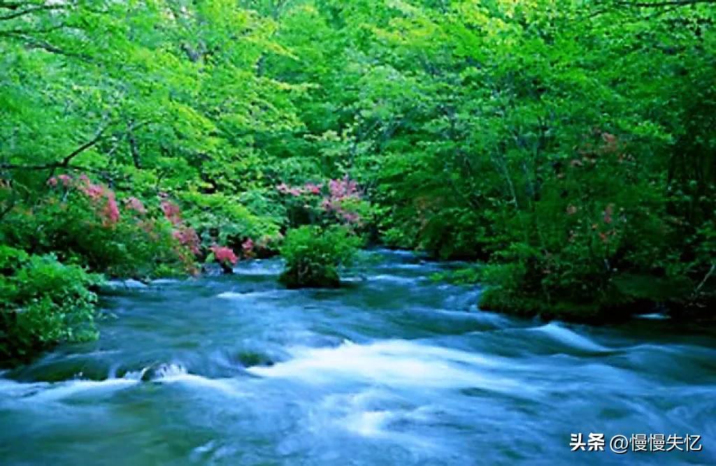 绝美的宋代山水田园诗,宋朝著名的山水诗人及其诗句赏析