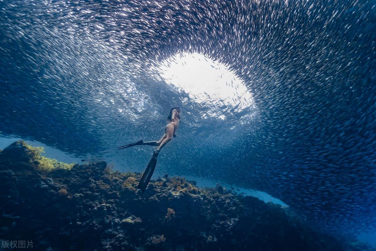 拍摄人像光圈怎么选择,拍摄时如何选择合适的光圈
