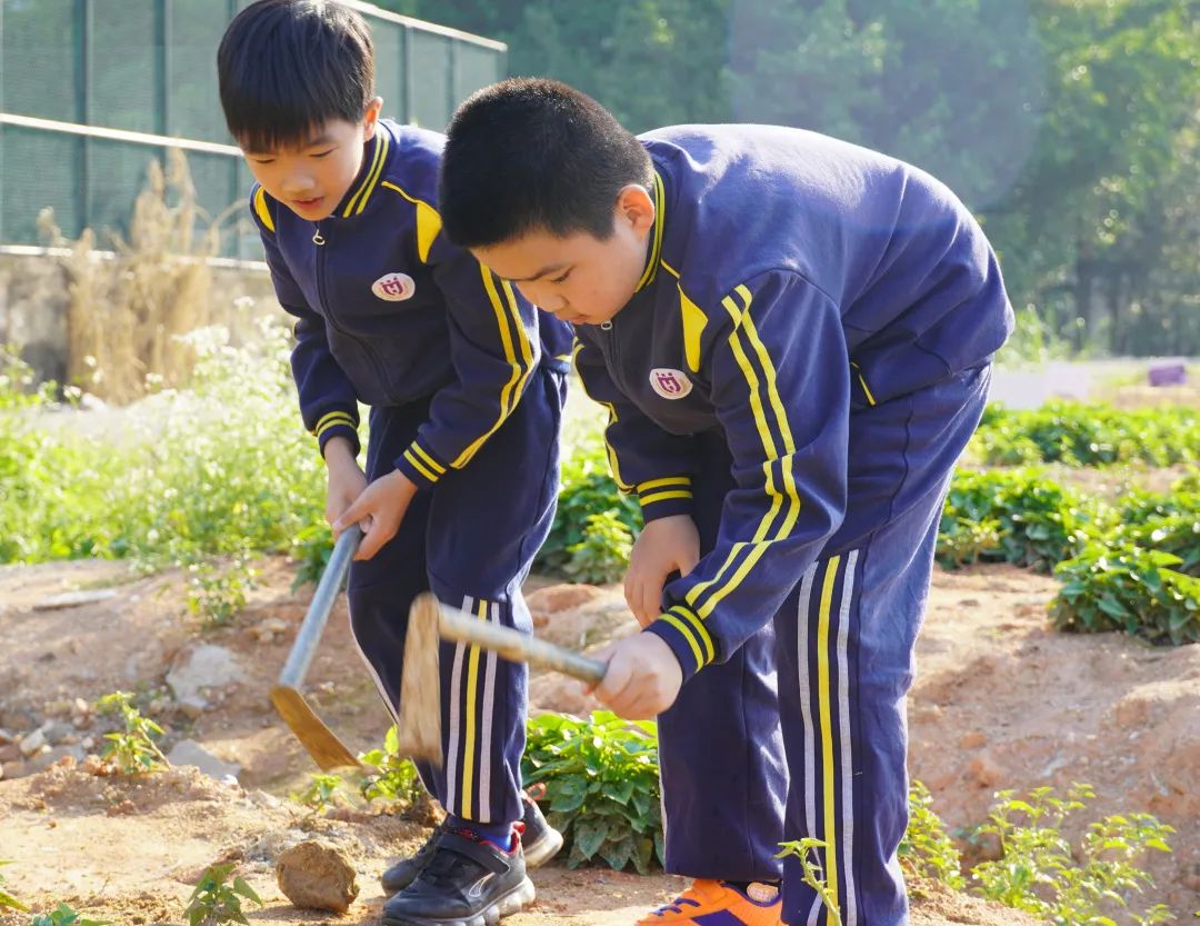 前方高能谁演的,前方高能校园歌手演唱瞬间