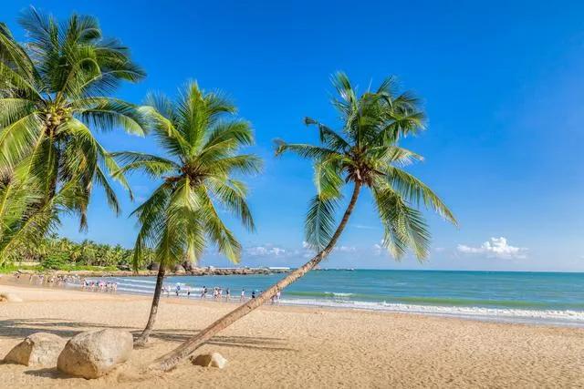 纯电汽车24年要交税吗,纯电车以后会交养路费吗