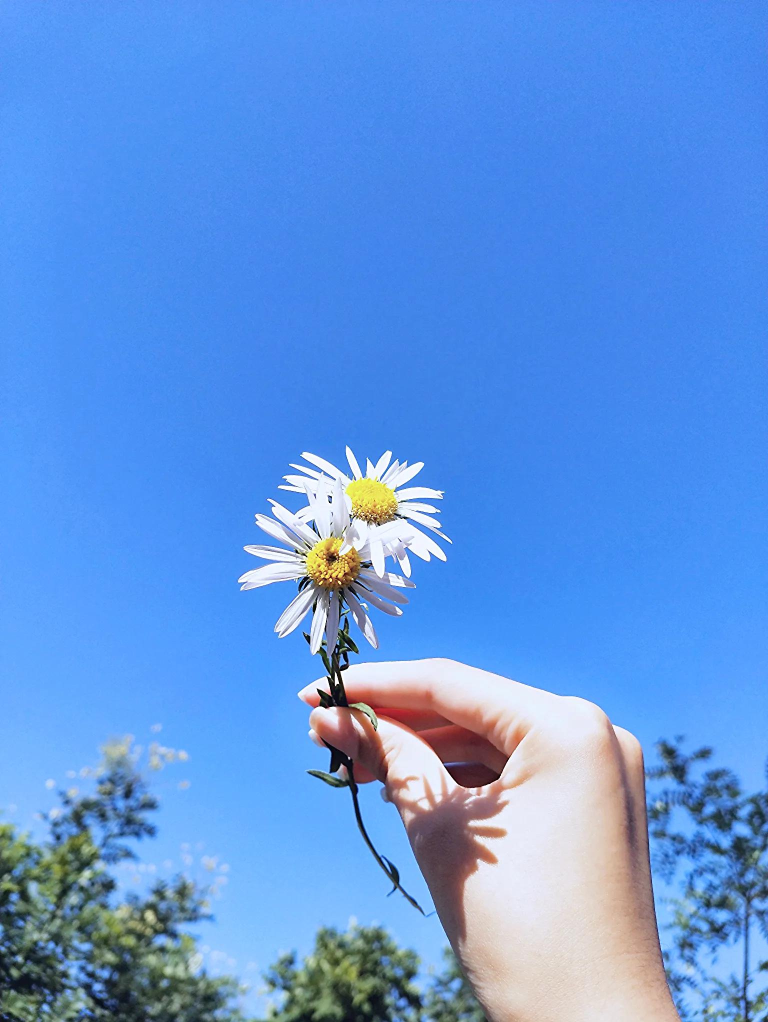 极简主义自律90天,自律极简