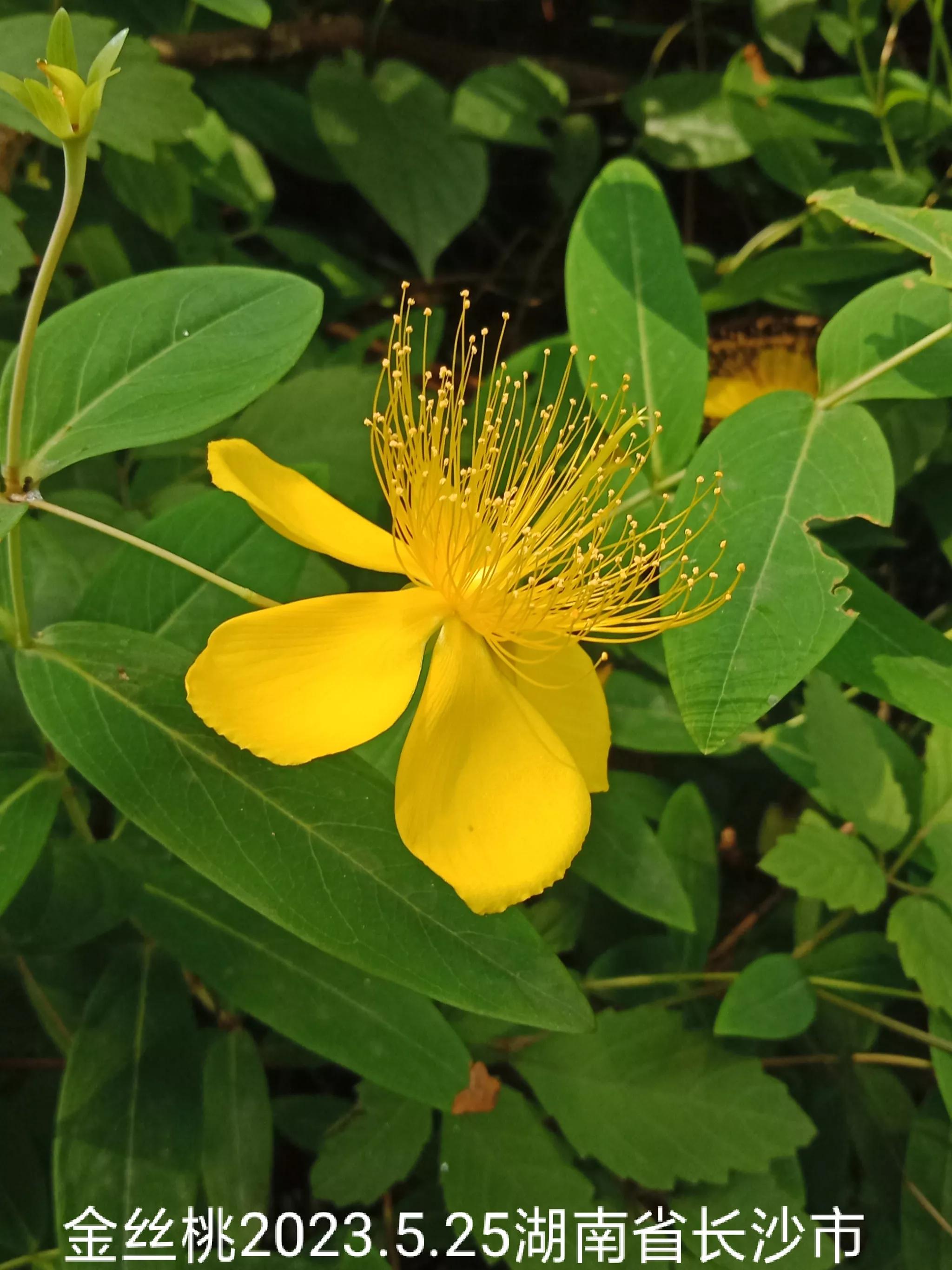 微信群忘保存找不到怎么办,微信群没保存通讯录丢失怎么找回