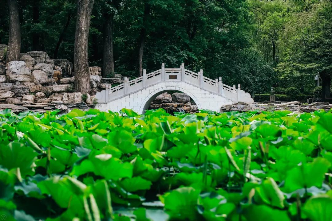 北京航空航天大学单招,北京航空航天大学24年招生简章