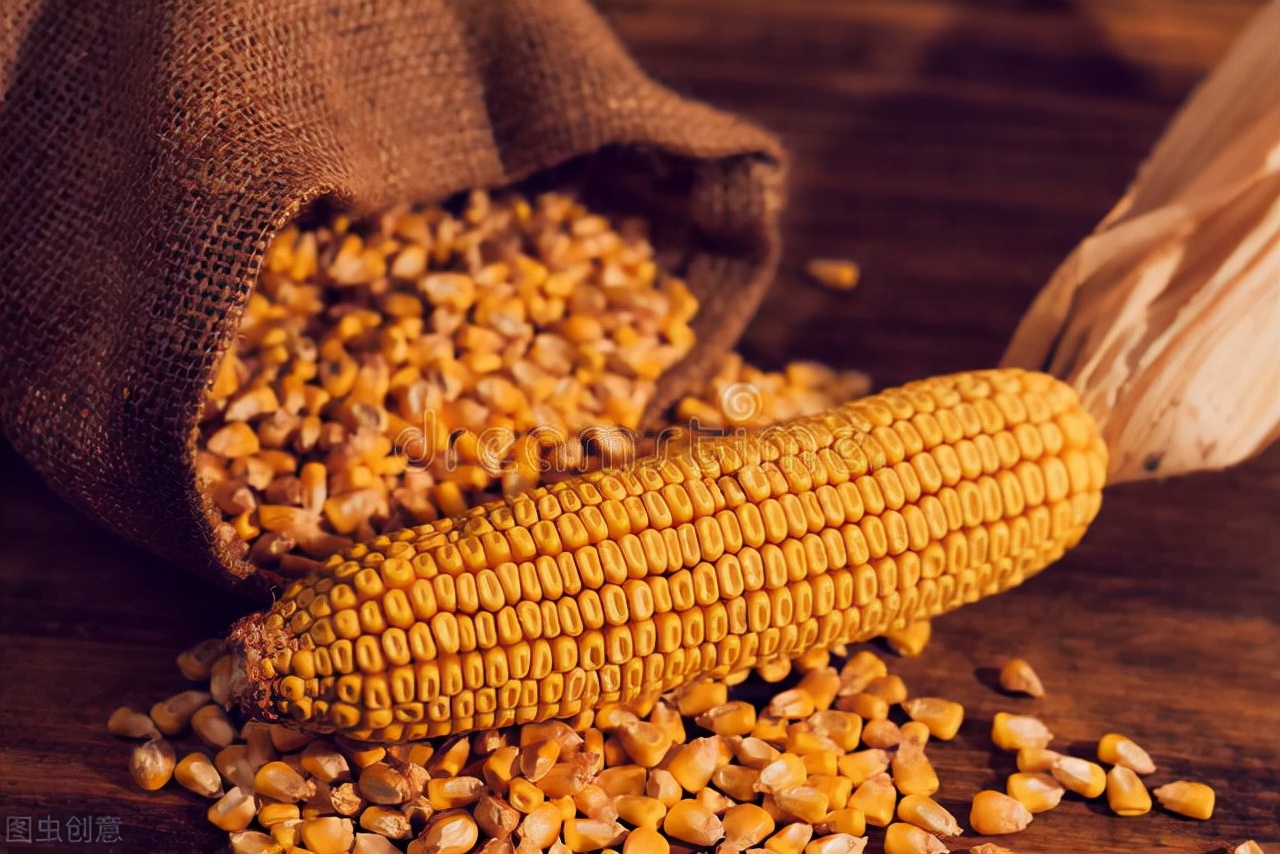 12月1日国内各地玉米价格发布