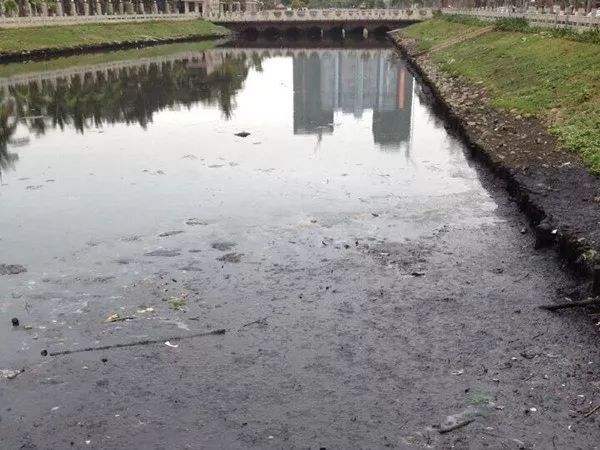 水体臭味怎么去除,水体发臭到极点会怎样