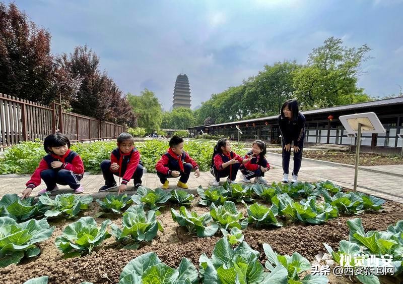 以教育高质量发展为己任,西安基础教育优质均衡发展