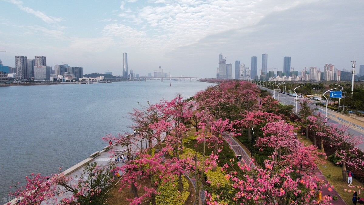 珠海一日游跟团游攻略,珠海一日游最佳攻略时间