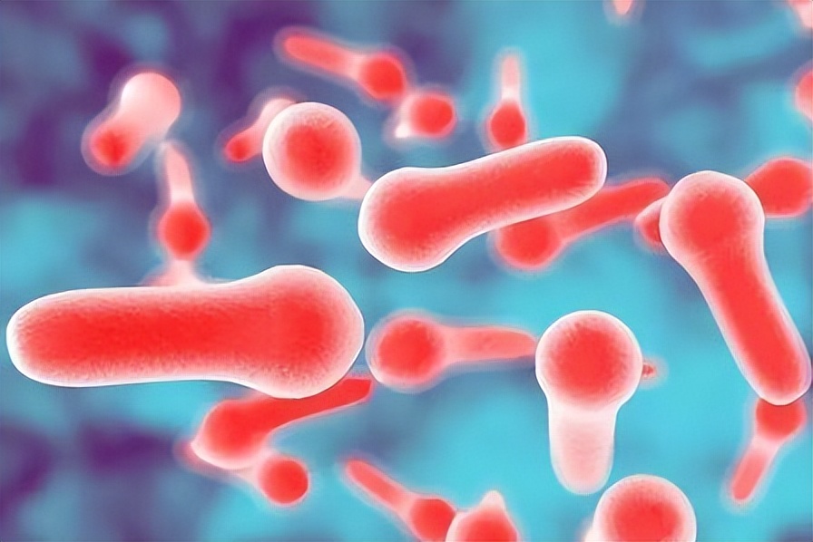 甲硝唑多少钱一瓶怎么用,甲硝唑可以治疗哪些病症