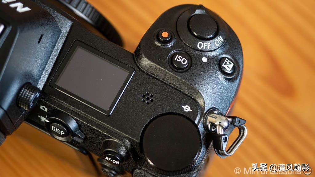 拍鸟用尼康d6好还是z7ii好,拍鸟买r6还是r5