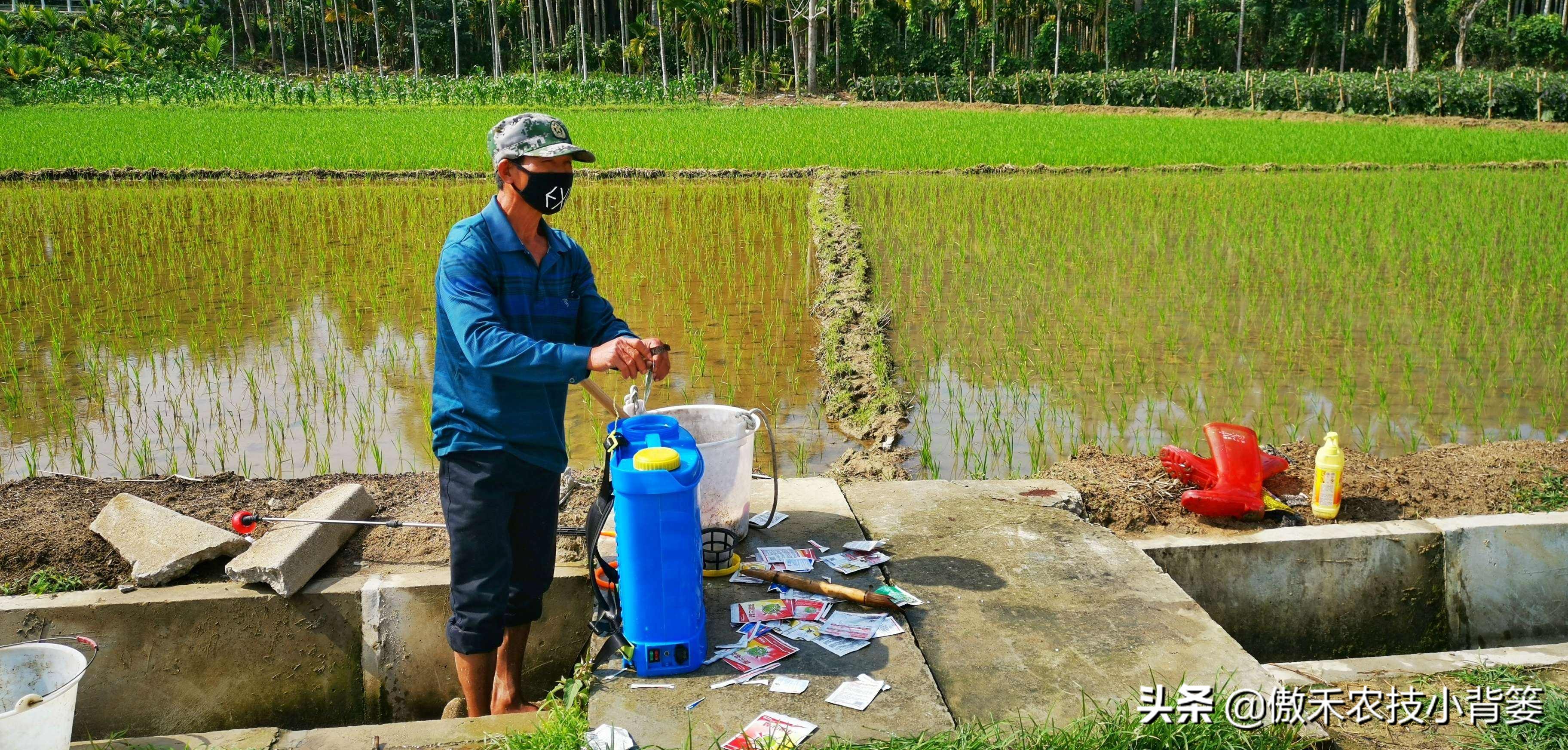 杀虫剂吡虫啉和啶虫脒有什么区别,吡虫噻嗪酮吡虫啉