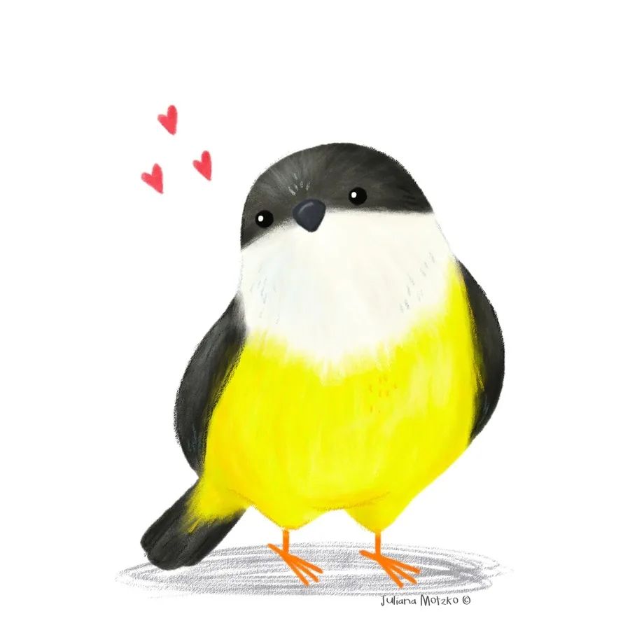 鸟类插画大全,鸟类插画艺术欣赏