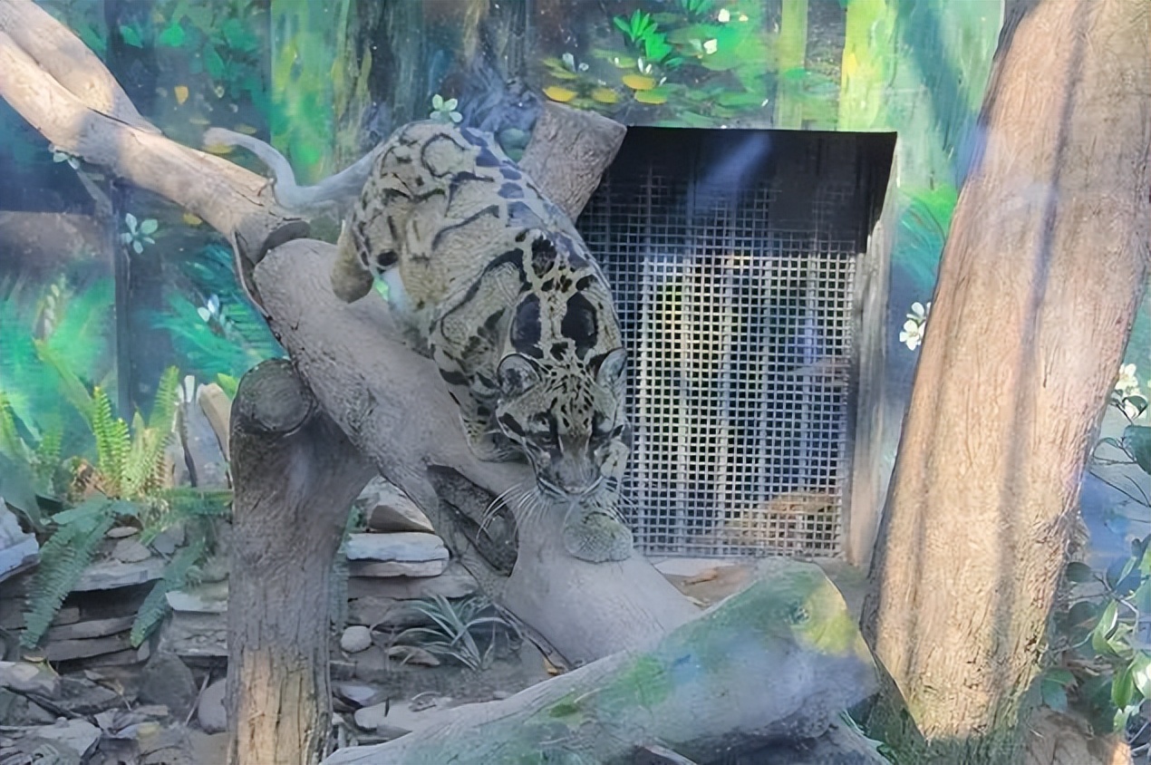 关于西南30个冷知识，带你了解真实的西南