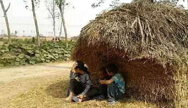 关于暴雨的经历,有关暴雨的感慨