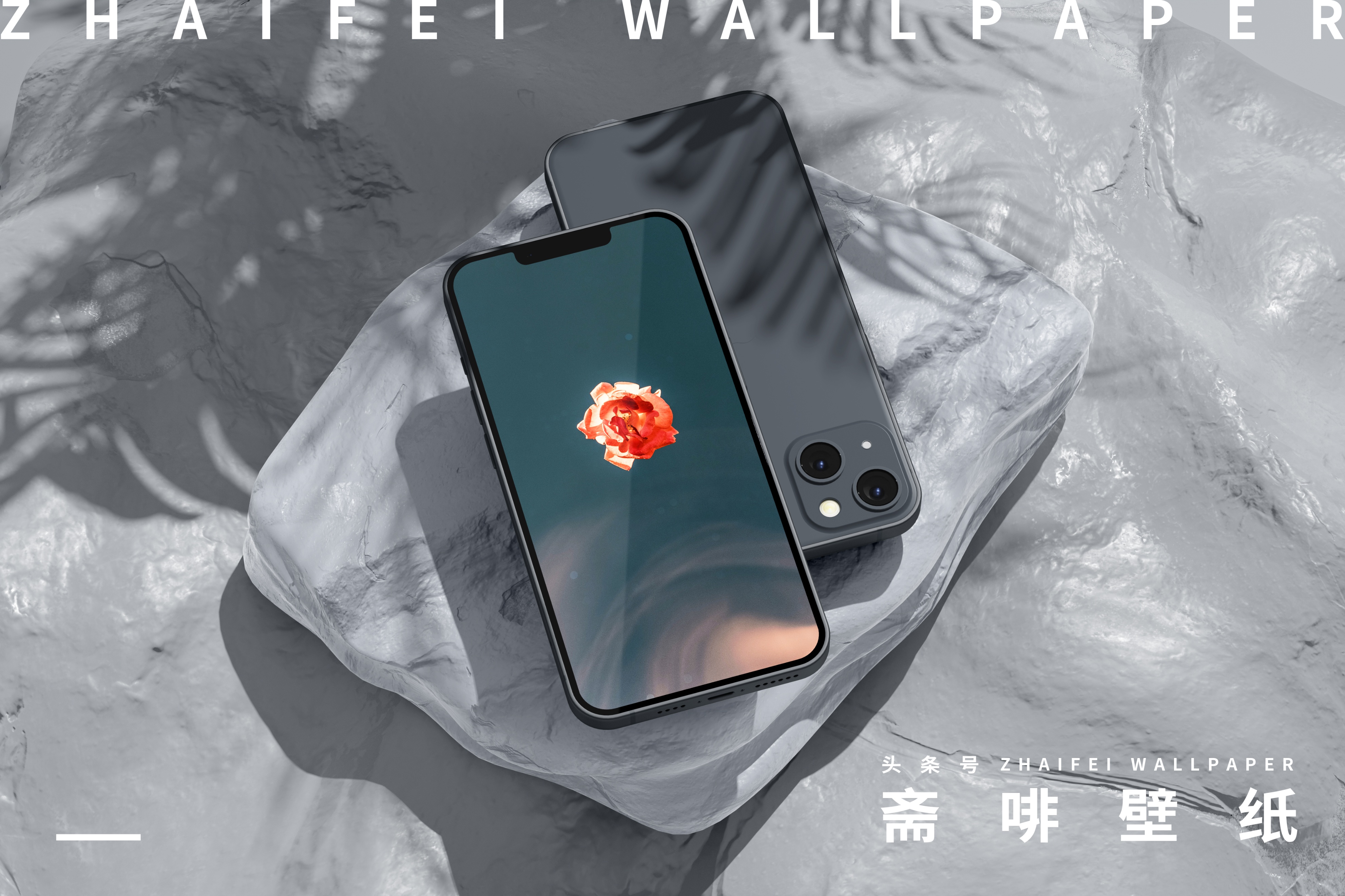 苹果专用壁纸全屏花,花图片壁纸高清全屏