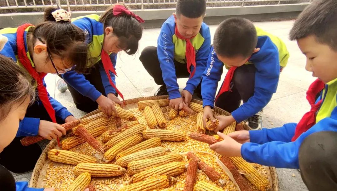 大连这个学校怎么样,大连的学校在山上