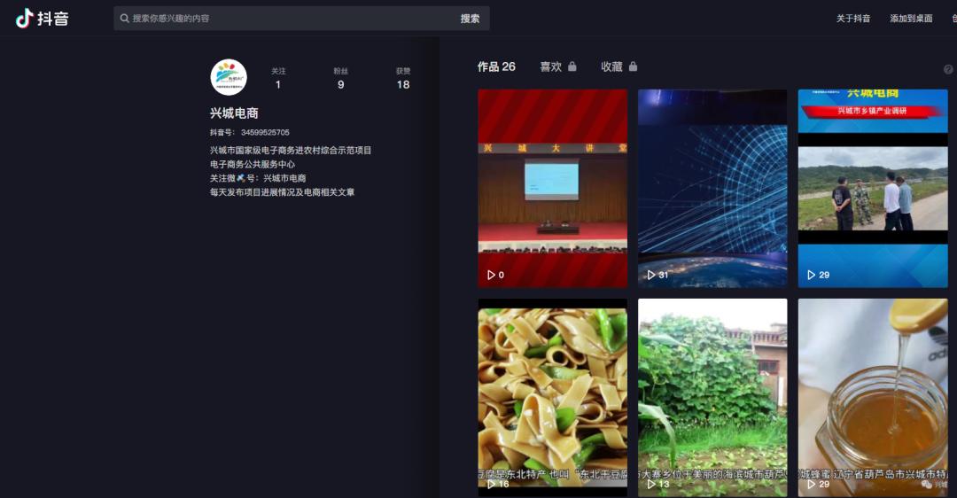 电子商务进农村综合示范县项目表,庄河电子商务进农村综合示范项目