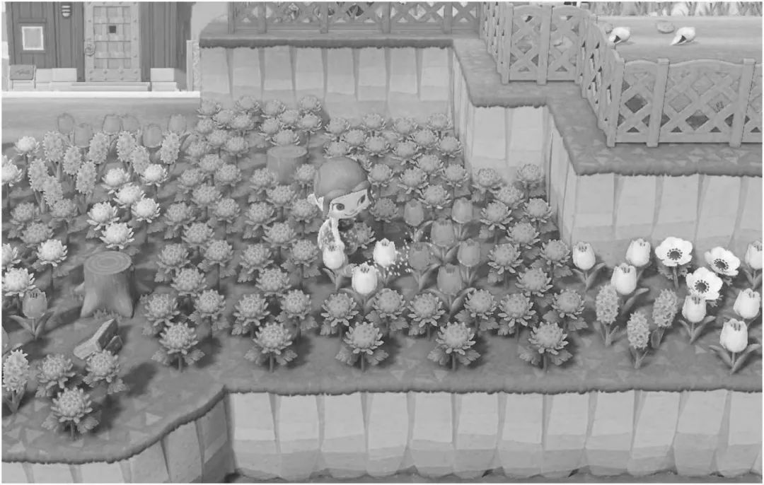 ns不联网十大最耐玩的游戏,盘点7款爆火的ns现象级游戏