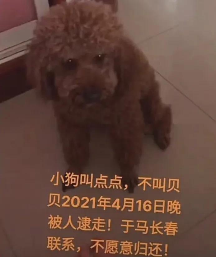 百万网红虐狗事件是真的吗,虐狗事件网红账号被封号