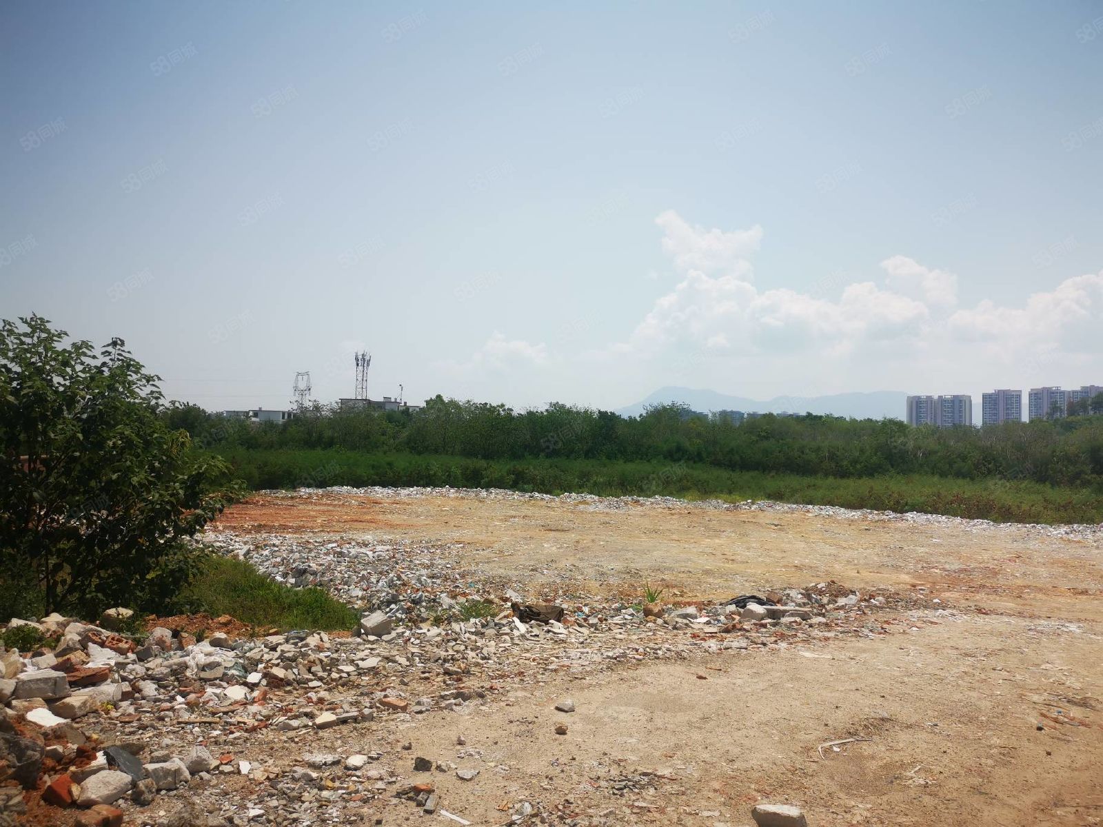 七旬患癌老人种树价值六亿,患癌患者卖房捐款后续