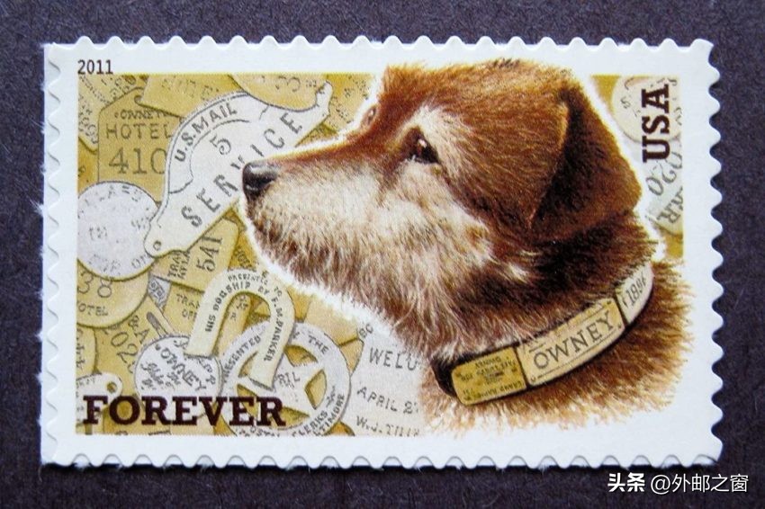 为啥有人说蓝兔邮票不好,蓝兔邮票绝版是真的吗