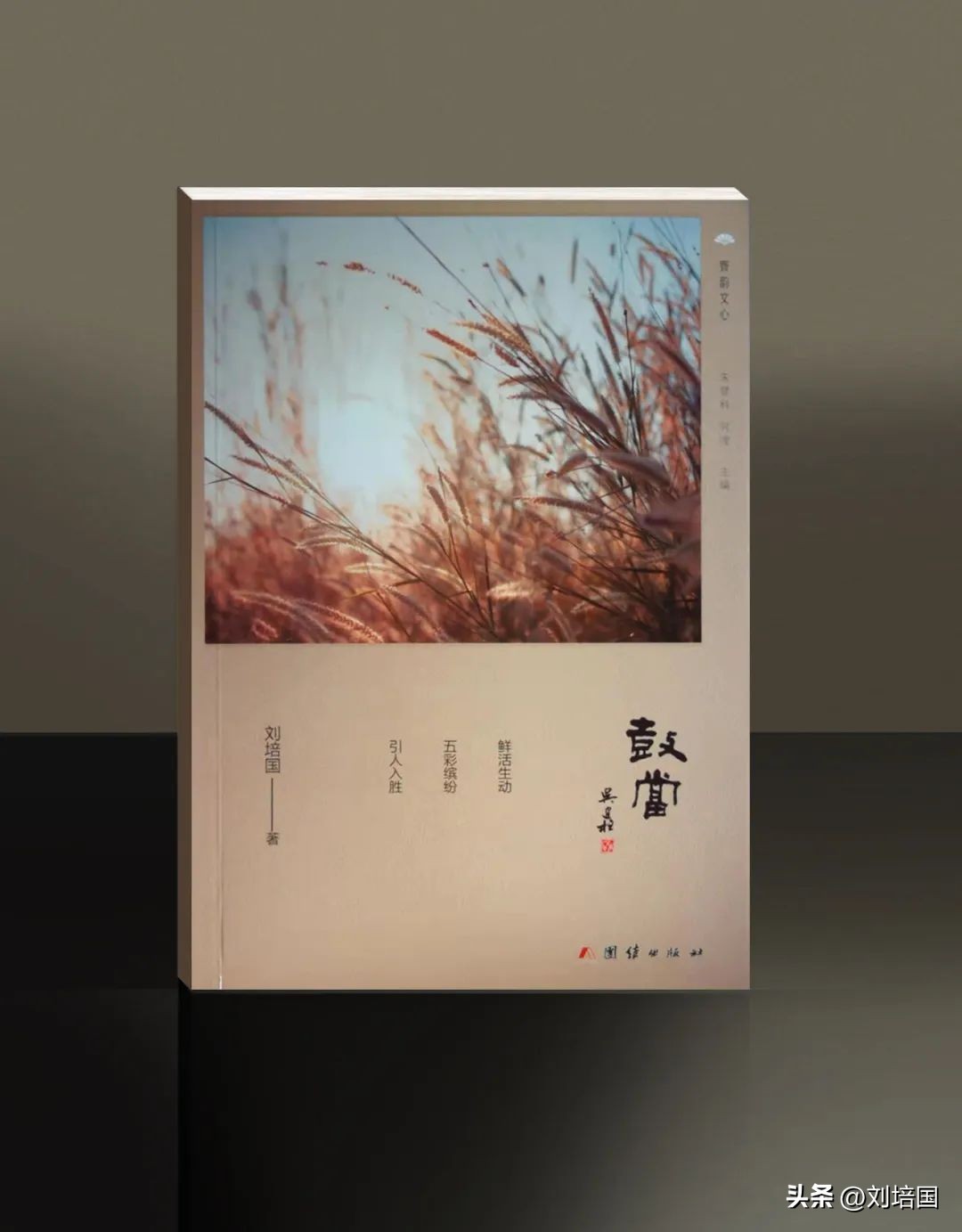 蒙特涮府自助,蒙特涮府怎么样