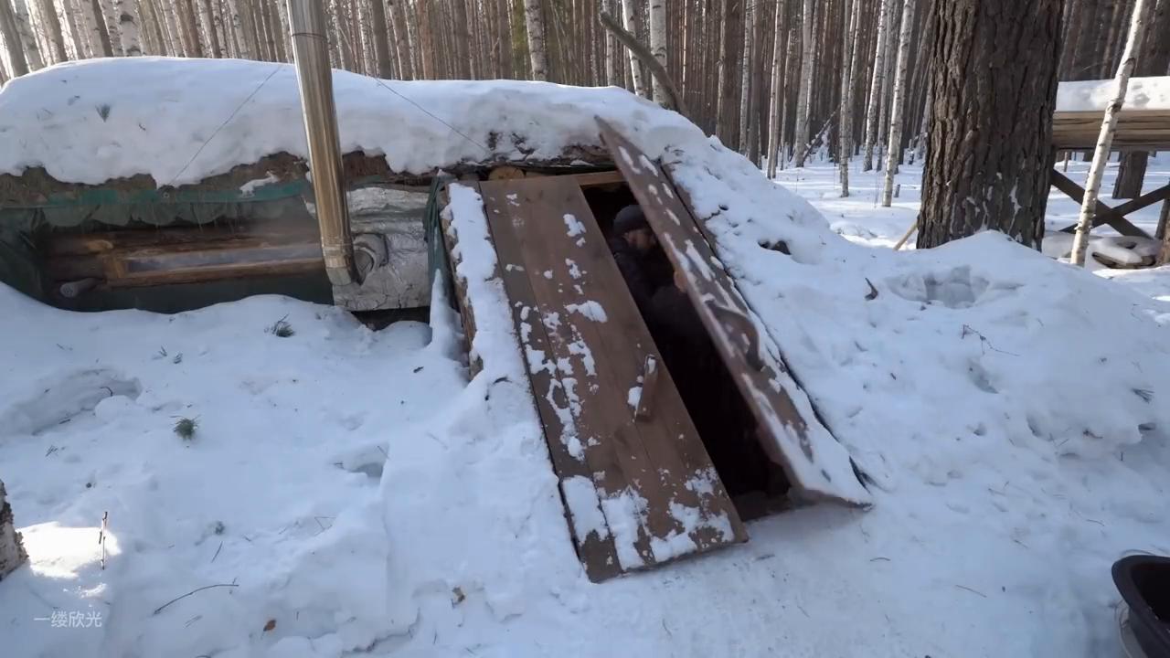 极寒天气搭建树屋,极寒天气荒野建造