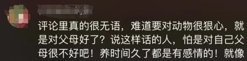 我在网店买三文鱼喂猫，结果被人网暴追骂两年，还造黄谣！