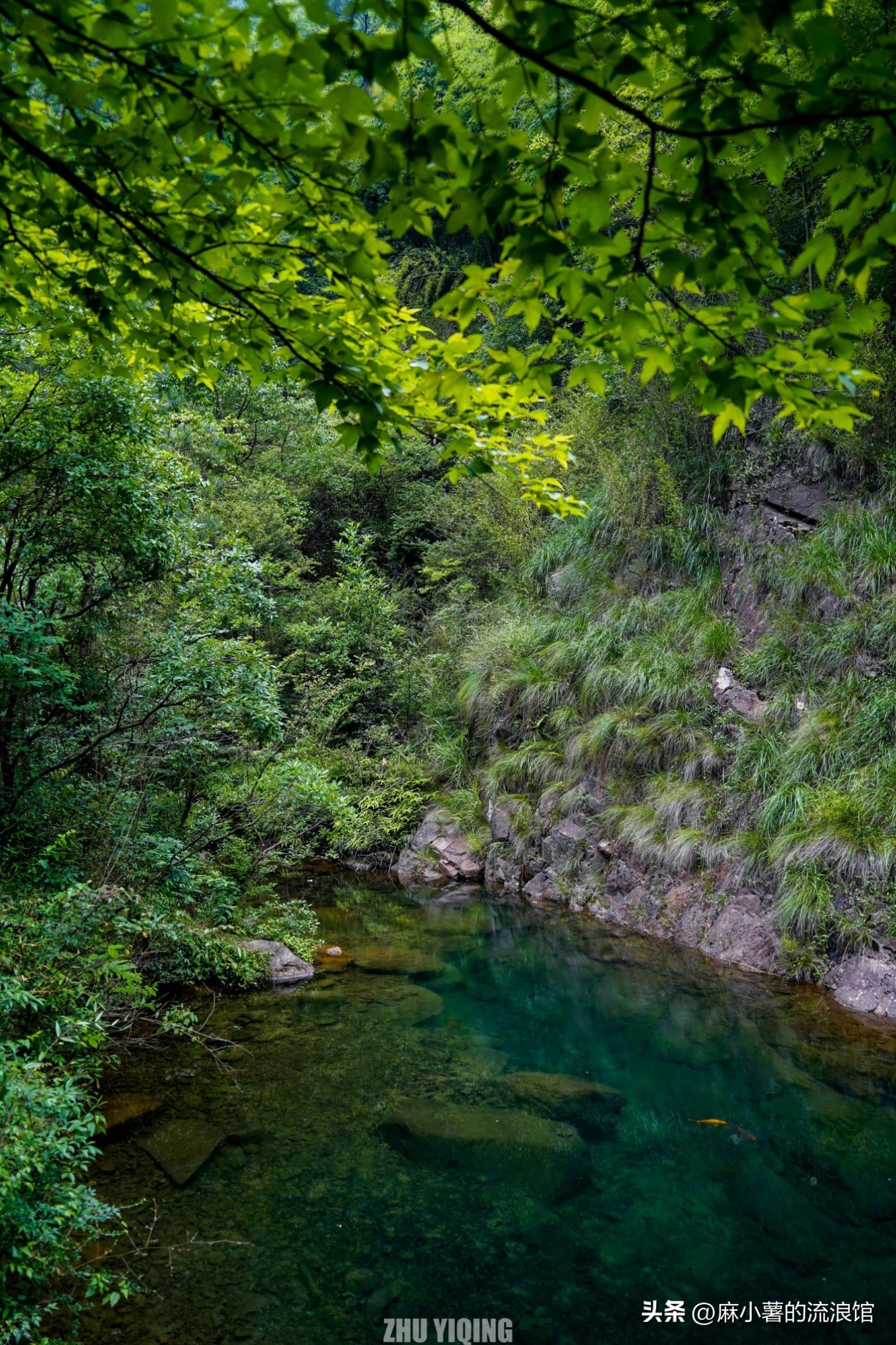 杭州桐庐大奇山二日游,杭州避暑胜地一日游