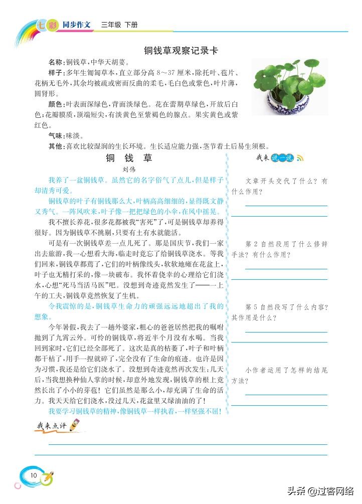 三年级下册语文七彩作文,七彩同步作文三年级下册