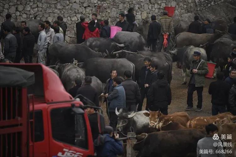 山头卖牛肉,山头上卖卤