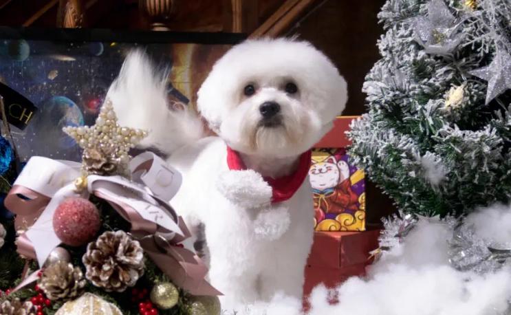 现在有哪些冷门生意可做,月入6万的冷门生意怎么样