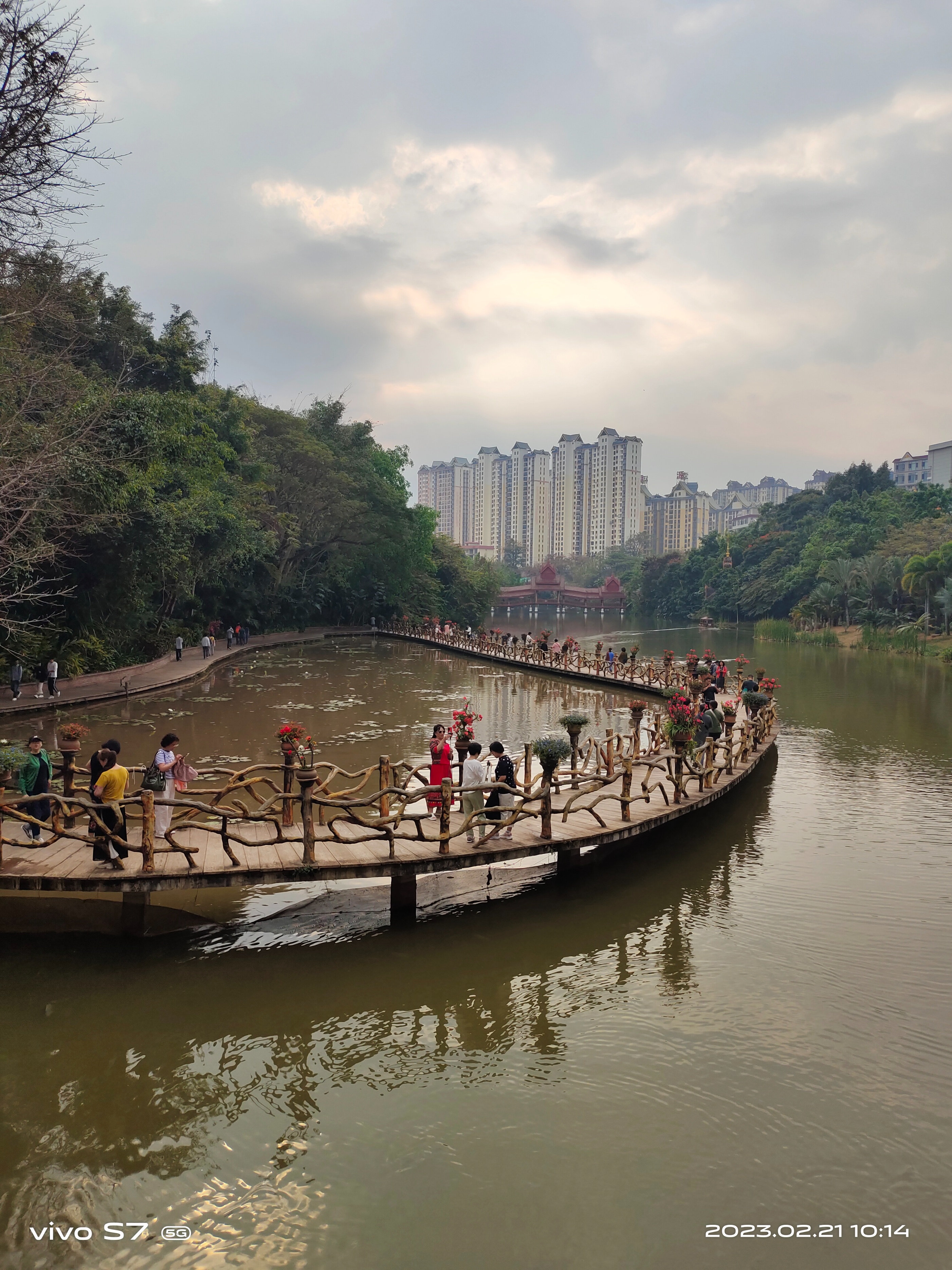 西双版纳曼听园攻略,云南西双版纳打卡曼听公园