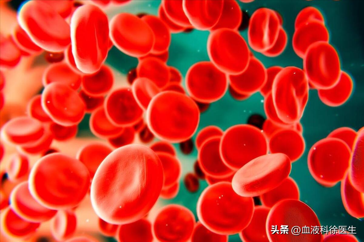 血友病：常被误认为“白血病”，血友病的症状有哪些？