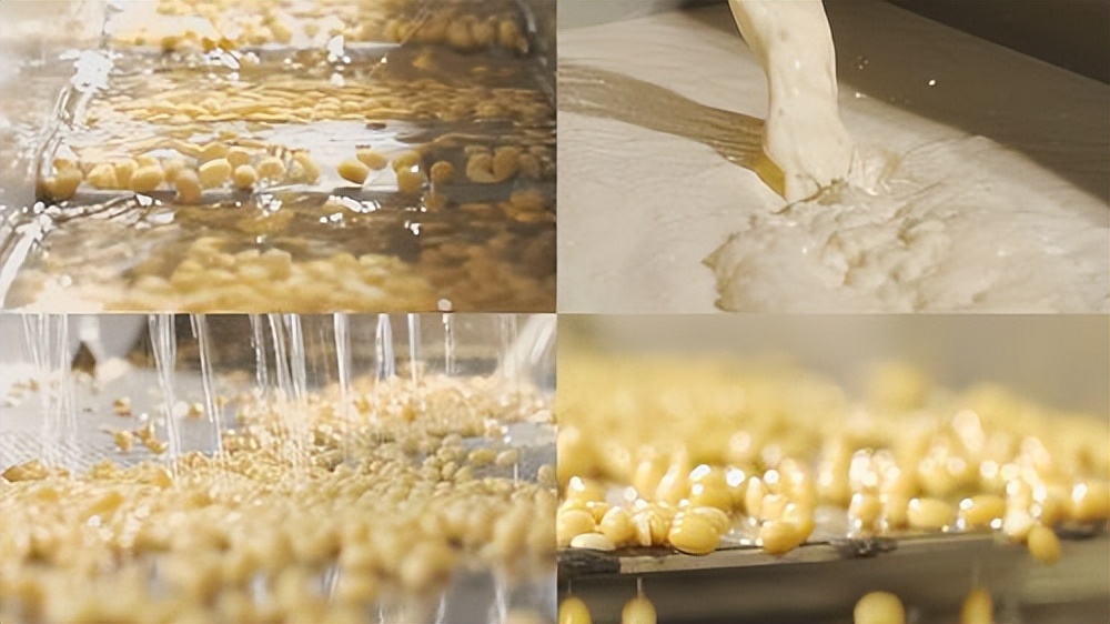 乡村振兴什么产业最好赚钱,乡村振兴适合农村创业的好项目