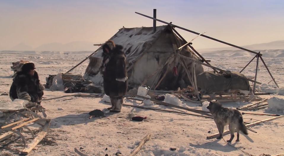 俄罗斯牧民有多少钱,俄罗斯鄂温克人饲养驯鹿