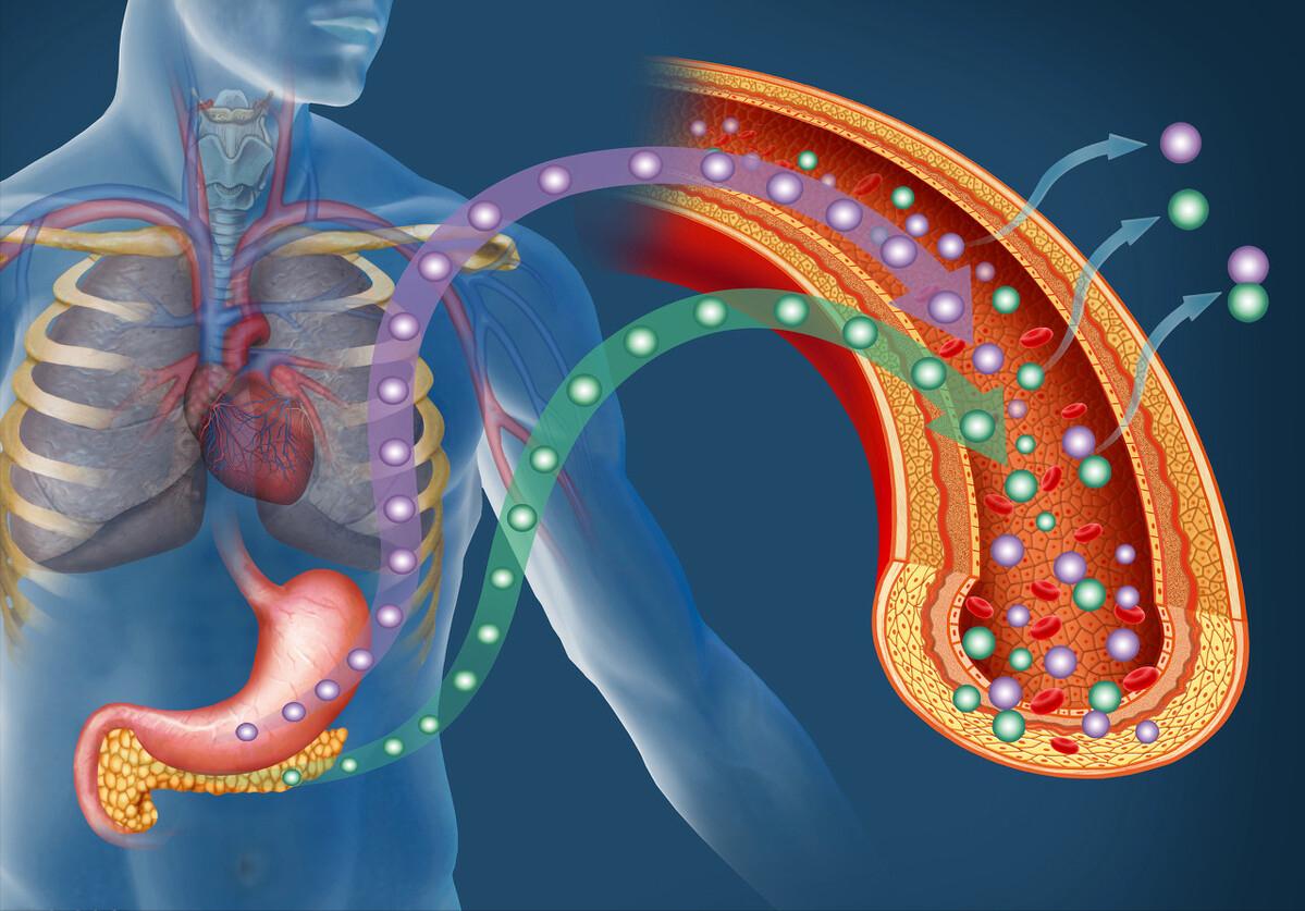 3药益气清热生津，降糖活血通络，营养神经恢复胰岛，防治并发症