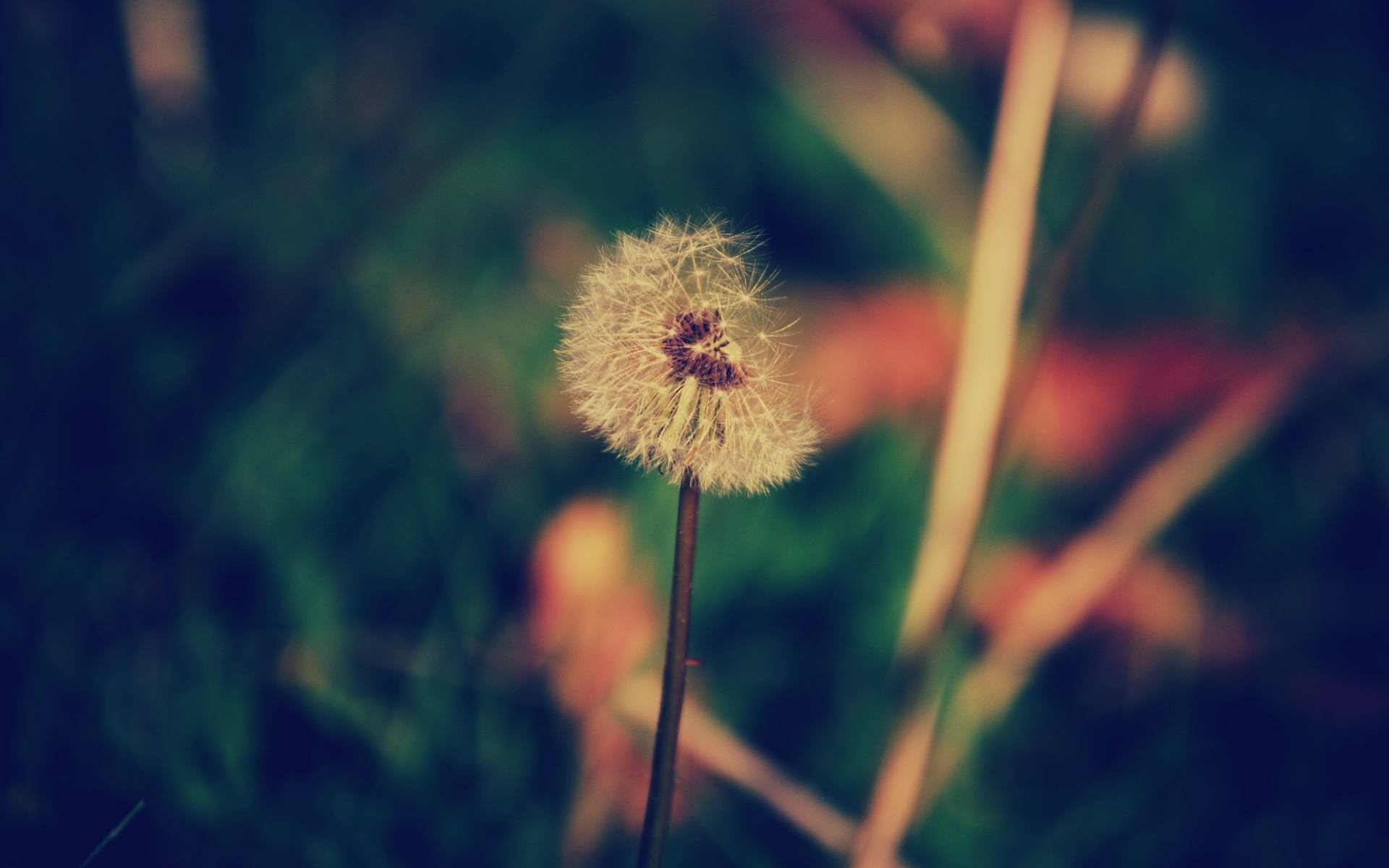 认知疗法如何治疗强迫症,无为而治怎么治疗强迫症