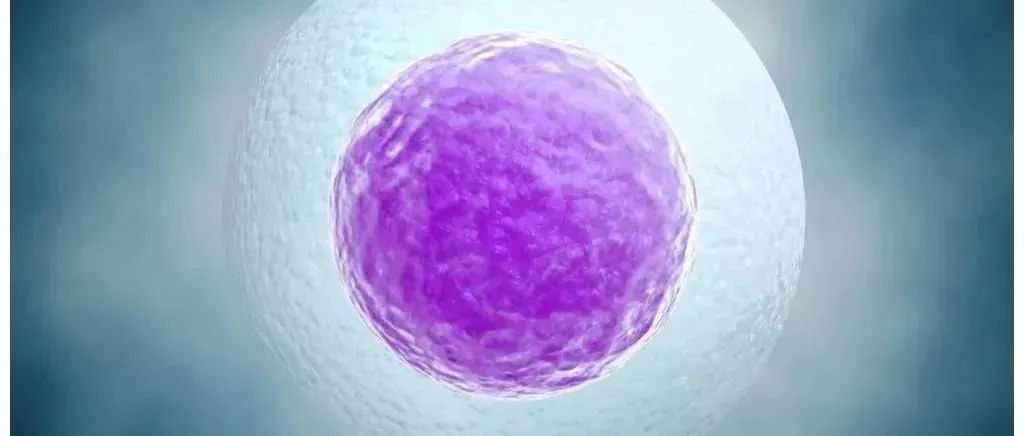 试管雌二醇达到多少pg可以采卵,试管查雌二醇和孕酮需要空腹吗