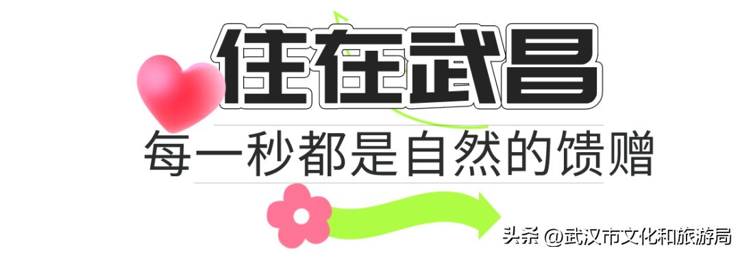 每次去都很「惊艳」的地方是____