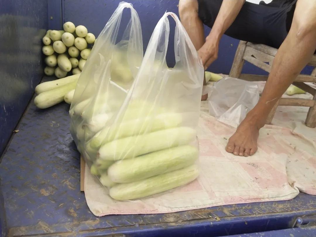 农民不出门打工能干什么养家,农民全都不出去打工怎么办