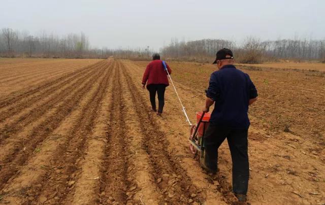 农村六十岁以上的老人有哪些优惠,农村70岁以上老人一月多少钱