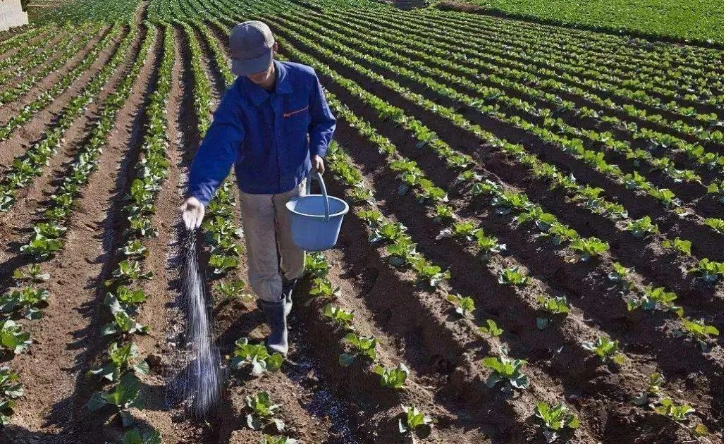 出售秸秆为什么不坏,秸秆能卖钱吗