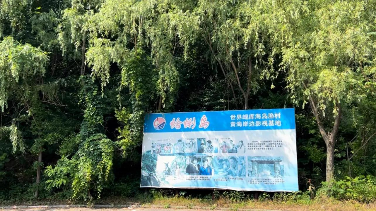 搴勬渤铔よ湂宀涚敇闇插,铔よ湂宀涚敇闇插