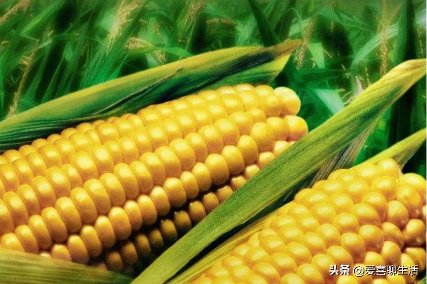 春季补脾吃什么食物好,春天吃甘甜食物有哪些