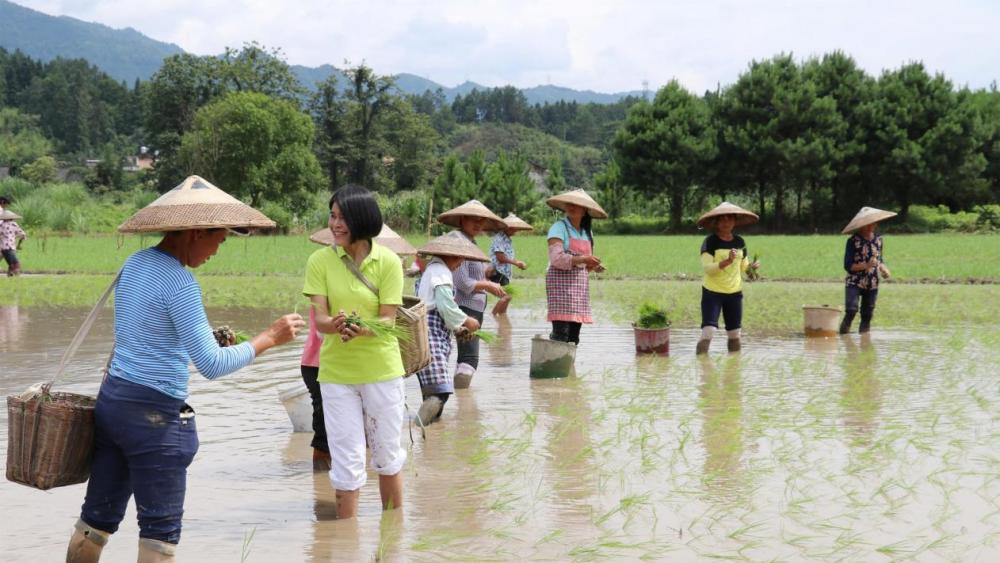 90鍚庡コ瀛╄繑涔″垱涓氱灏忕ɑ,90鍚庤繑涔″垱涓氬ぇ瀛︾敓绉嶆姘寸ɑ