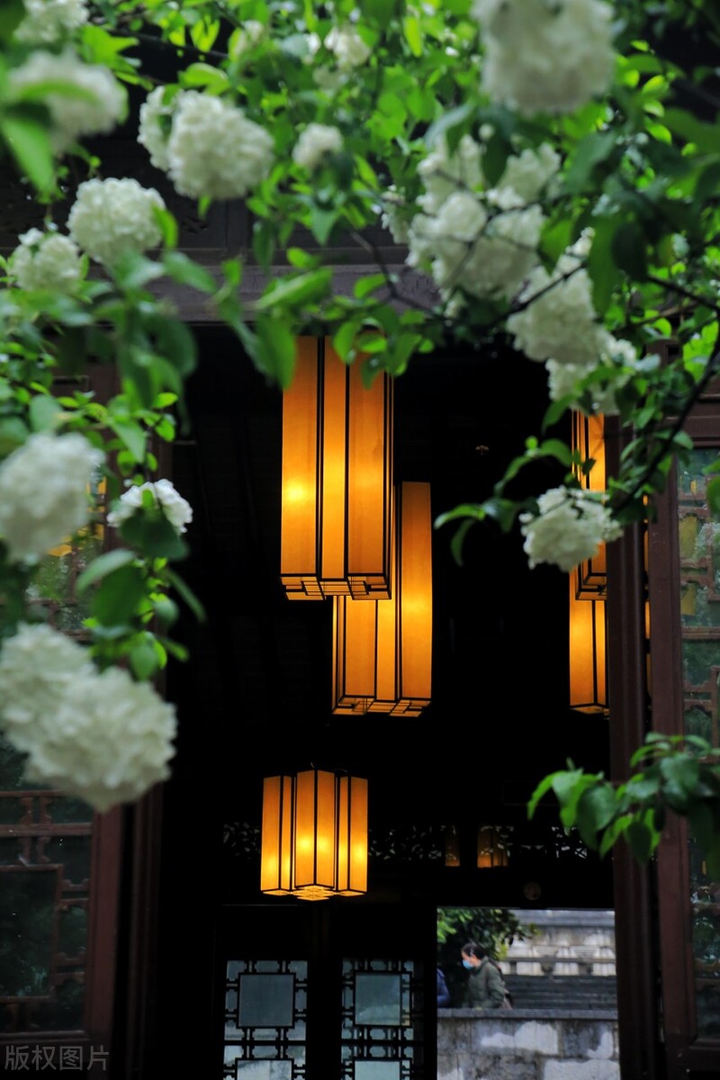 中国唯一“三省省会”,省内万人嫌,省外的台湾却对它情有独钟